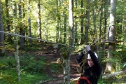 Stufe 1 von insgesamt 6