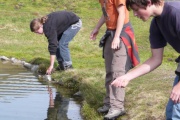 Spiegelsee