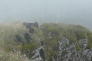 Die Raben auf der Niederhornklippe