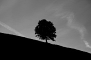 P1110686