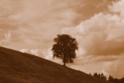 P1110719